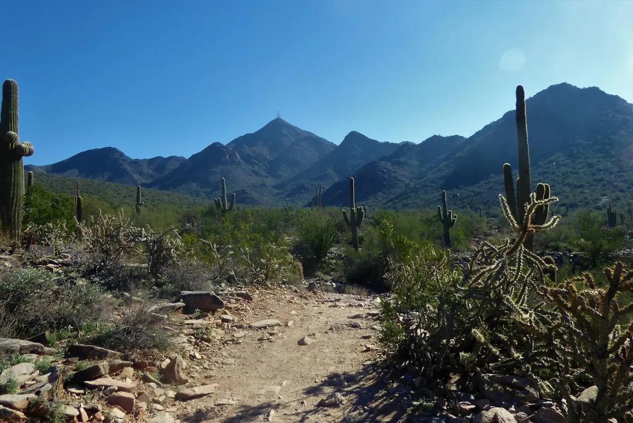 Luxury Vacation Rentals By Meridian Condoresorts Scottsdale Apartment